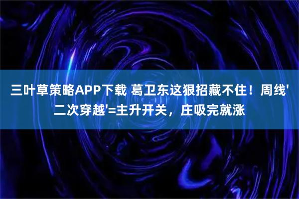 三叶草策略APP下载 葛卫东这狠招藏不住！周线'二次穿越'=主升开关，庄吸完就涨