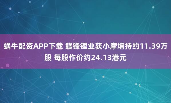 蜗牛配资APP下载 赣锋锂业获小摩增持约11.39万股 每股作价约24.13港元