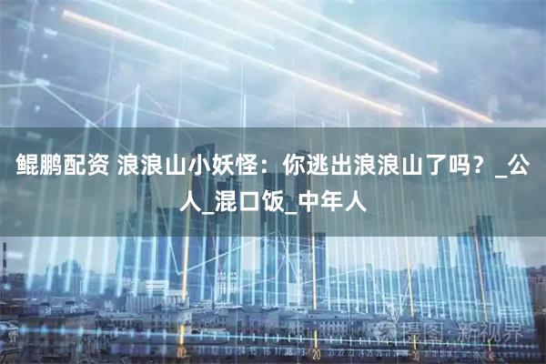 鲲鹏配资 浪浪山小妖怪：你逃出浪浪山了吗？_公人_混口饭_中年人